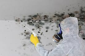 Best Residential Mold Inspection & Testing  in Somerville, NJ